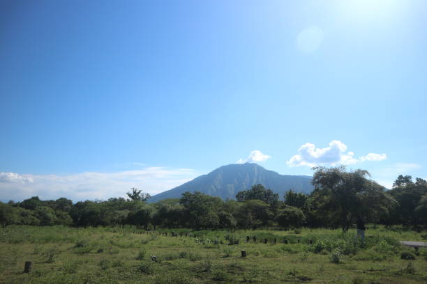 Taman Nasional Baluran