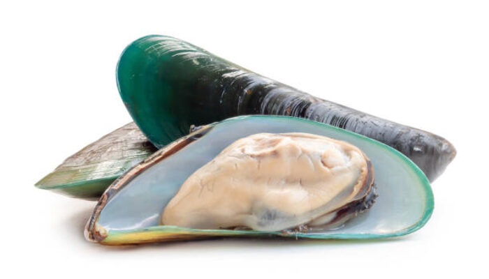 Kandungan Gizi Kerang Hijau dan Manfaatnya untuk Tubuh